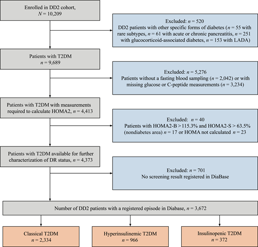 Flowchart of study cohort. LADA, latent autoimmune diabetes in adults; T2DM, type 2 diabetes mellitus.