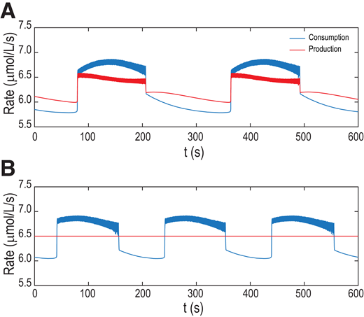 Simulation of ATP consumption rate and production rate using the Integrated Oscillator Model ver. 1.7 (42). A: Both consumption and production increase during the active phase of oscillations when intracellular calcium (not shown) is high and decrease during the silent phase when calcium is low. B: The variation in consumption rate is larger, and oscillations still occur when the production rate is held fixed.