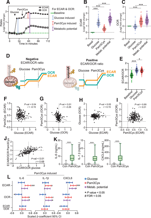 Metabolic signatures and functional responses of circulating monocytes display high interindividual variation. A: Metabolic responses to glucose, Pam3Cys, and the metabolic potential were derived from time series for glycolytic (ECAR) and oxidative (OCR) metabolic rates expressed as log twofold change to baseline rates. Data are expressed as averages. B and C: Metabolic (Metab.) responses to glucose and Pam3Cys and the metabolic potential for 185 complete observations. D: Visual representation of the ECAR/OCR ratio showing the relative utilization of glycolytic and oxidative metabolism. E: Responses of the ECAR/OCR ratio to glucose and Pam3Cys. Pearson correlations between glucose- and Pam3Cys-induced ECAR (F) and OCR (G), and for ECAR and OCR responses to glucose (H) and Pam3Cys (I), and glucose- and Pam3Cys-induced ECAR-to-OCR ratio (J). K: Pam3Cys-induced cytokine secretion by monocytes after 24-h stimulation. Data are presented as median whiskers from minimum to maximum. L: Linear models for monocyte metabolism (independent variables) and cytokine secretion (dependent variables) adjusted for age, sex, and BMI for 110 complete observations. B, C, and E: Data are expressed as averages and SDs. *P < 0.05, ***P < 0.001. See also Supplementary Fig. 1. OXPHOS, oxidative phosphorylation.
