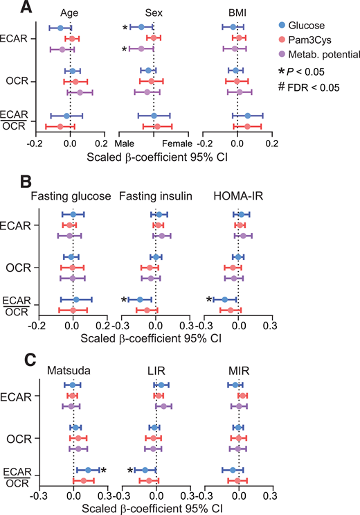 IR is associated with the metabolic balance in monocytes. A: Linear associations between age, sex, and BMI (independent variables) and monocyte metabolic responses (dependent variables). Linear models are adjusted for sex and BMI (model for age), age and BMI (model for sex), or age and sex (model for BMI). B: Linear models for fasted glucose and insulin levels and derived HOMA-IR (independent variables) and monocyte metabolism (dependent variables). C: Linear models for OGTT-derived estimates for systemic and tissue-specific IR (independent variables) and monocyte metabolism (dependent variables). N = 176 complete observations. β-Coefficients are scaled. Models are adjusted for age, sex, and BMI. See also Supplementary Fig. 2.