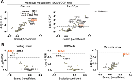 IR and the metabolic balance of monocytes are associated with CXCL11 and other circulating immune markers. A: Linear models between circulating immune markers (dependent variables) and monocyte metabolism (independent variables). B: Linear models between circulating immune markers (dependent variables) and estimates for IR (independent variables). Models are adjusted for age, sex, and BMI. N = 71 complete observations. See also Supplementary Fig. 3.