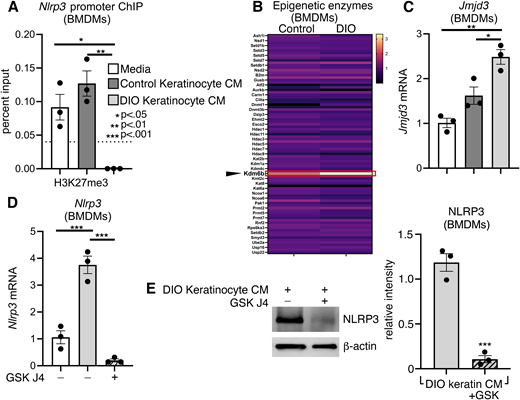 Diabetic wound keratinocytes induce Mφ Nlrp3 expression via JMJD3. A: BMDMs were harvested from non-DIO WT mice and stimulated with and without DIO or control KCM for 24 h. ChIP analysis for H3K27me3 at the Nlrp3 promoter; n = 4 mice per group for KCM, wounds pooled, repeated in triplicate. Dotted line represents IgG controls. B: An epigenetic array on non-DIO WT BMDMs stimulated with DIO or control KCM for 5 h. Color corresponds to the level of expression. The red box outlines Kdm6b (Jmjd3). C: Jmjd3 expression assayed by qPCR in BMDMs isolated from non-DIO mice stimulated with and without DIO or control KCM for 5 h; n = 4 mice per group for KCM, wounds pooled, repeated in triplicate. D: Nlrp3 expression was examined via qPCR in BMDMs isolated from non-DIO mice stimulated with and without DIO KCM and 10 µM GSK-J4 for 5 h; n = 4 mice per group for KCM, wounds pooled, repeated in triplicate. E: NLRP3 protein levels were assayed in BMDMs isolated from non-DIO mice stimulated with DIO KCM with and without 10 µM GSK-J4 for 24 h. A representative blot is shown (β-actin served as loading control). Protein band density of NLRP3 normalized to β-actin, as digitally quantified by ImageJ; n = 4 mice per group for KCM, wounds pooled, repeated in triplicate. Data were analyzed for variances, and a one-way ANOVA or two-tailed student t test was performed. *P < 0.05, **P < 0.01, and ***P < 0.001. Data are presented as mean and SEM.