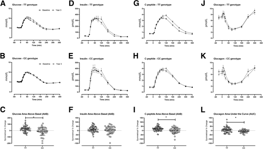 Fasting and postchallenge glucose (A and B), insulin (D and E), C-peptide (G and H), and glucagon (J and K) concentrations in subjects with the TT and CC genotype at rs7903146 at baseline (open symbols) and after 3 years (closed symbols) of follow-up. Data are mean ± SEM. Individual symmetric percent changes for each subject over time are also shown (C, F, I, and L). Bars represent mean ± SEM. *P < 0.05.