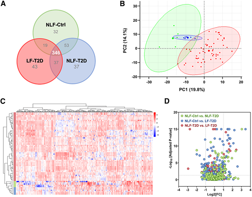Microproteomic analysis of lesioned fascicles. A: Venn diagram shows the overlap in the number of identified proteins in NLF-Ctrl, NLF-T2D, and LF-T2D. B: PCA of the 346 proteins shared in all three groups. C: Hierarchical heat map cluster of the 346 proteins shared in all three groups. D: Volcano plot of the differential changes in 346 proteins across all three groups. Vertical dotted lines represent the log2[fold-change (FC)] cutoff values, and the horizontal dotted lines represent the −log10[adjusted P value] cutoff values.