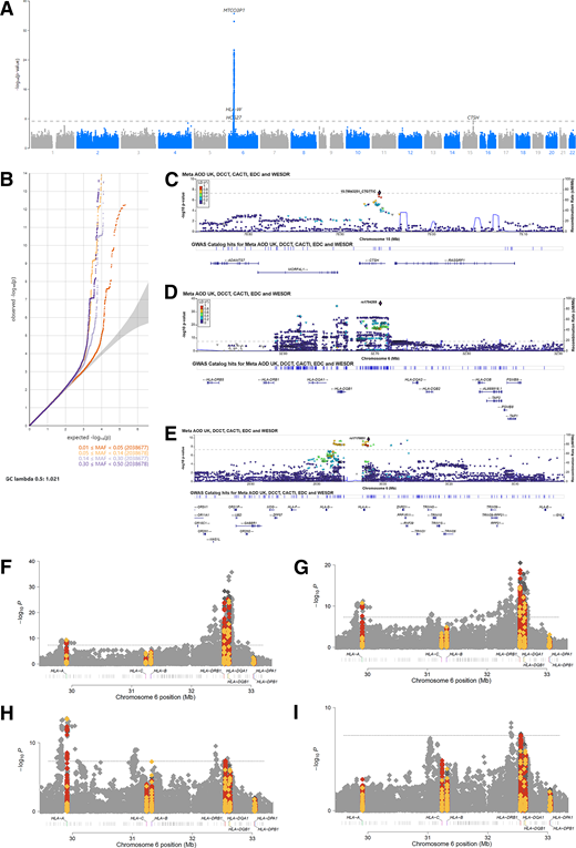 AAD meta-GWAS. A: Manhattan plot. B: Q-Q plot. C: CTSH locus. D: HLA-DR-DQ locus. E: HLA-A locus. F: HLA region (HLA imputation). G: HLA region conditional to HLA-DQB1*03:02. H: HLA region conditional to HLA-DQB1*03:02 and HLA-DRB1*03:01. I: HLA region conditional to HLA-DQB1*03:02, HLA-DQB1*03:02, and HLA-A*24:02:01:01. The plots in A–E were made using LocusZoom (https://my.locuszoom.org/). The LD is based on the European population from 1000 Genomes LD panel derived from deep whole-genome sequencing (50). The coordinates are based on GRCh38. The plots in F and G were made using HLAManhattan in HLA-TAPAS (https://github.com/immunogenomics/HLA-TAPAS) (31). HLA haplotypes, AA changes/indels are in red, yellow, and gray, respectively. The coordinates are based on GRCh37.