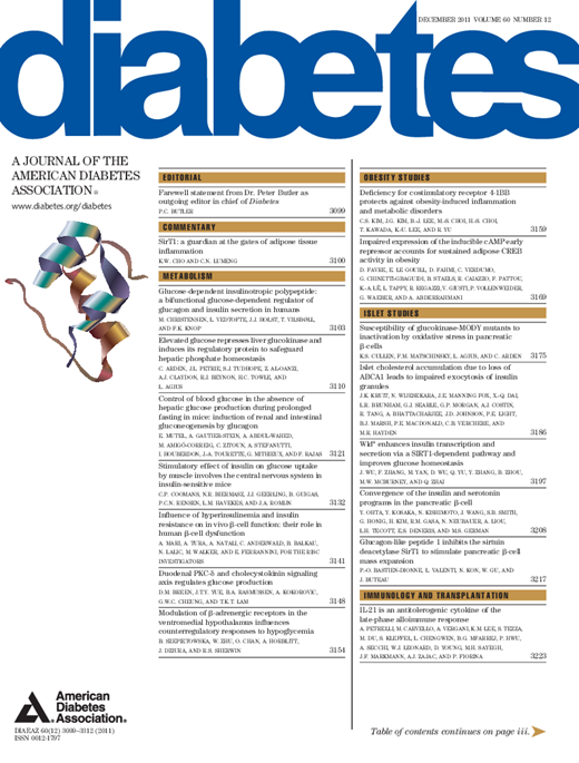 Diabetes Cover Image for Volume 60, Issue 12