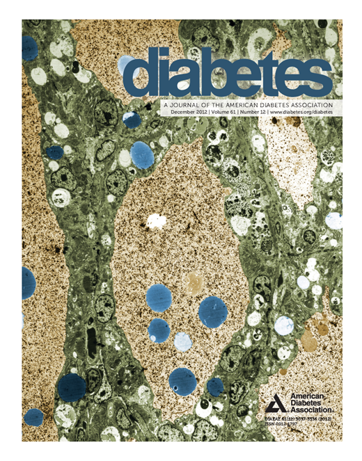 Diabetes Cover Image for Volume 61, Issue 12