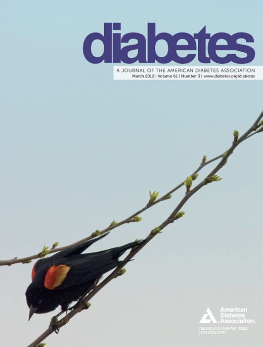 Diabetes Cover Image for Volume 61, Issue 3