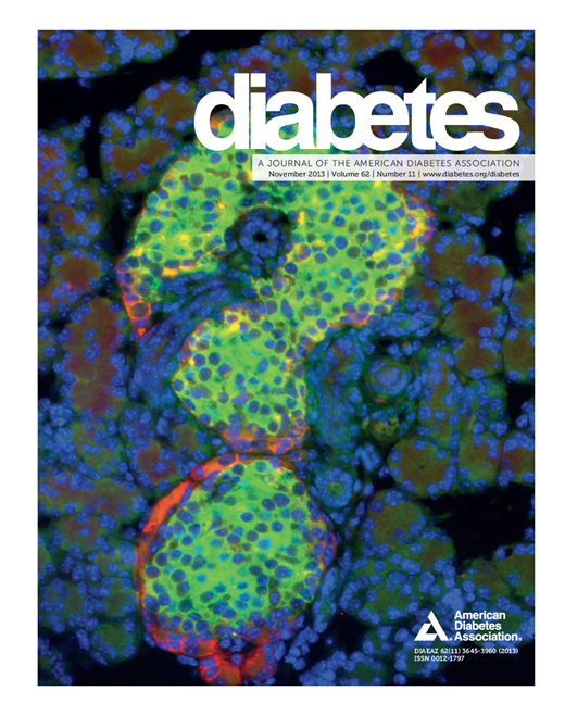 Diabetes Cover Image for Volume 62, Issue 11