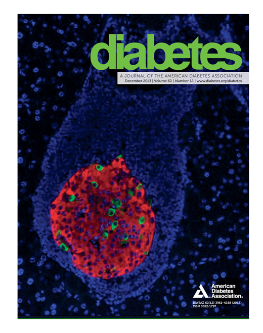 Diabetes Cover Image for Volume 62, Issue 12