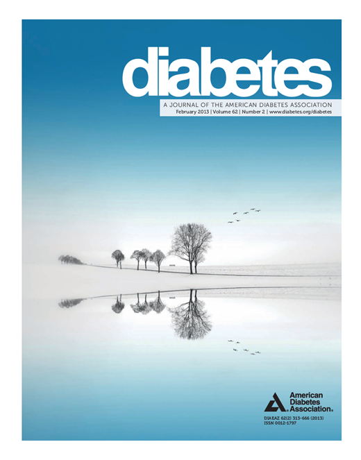 Diabetes Cover Image for Volume 62, Issue 2