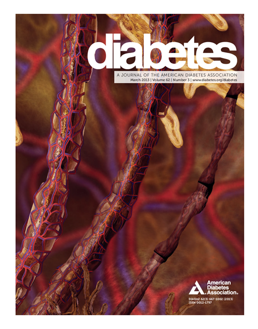 Diabetes Cover Image for Volume 62, Issue 3