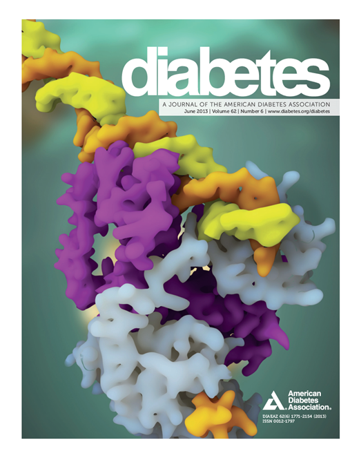 Diabetes Cover Image for Volume 62, Issue 6