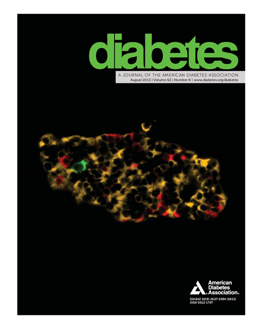 Diabetes Cover Image for Volume 62, Issue 8