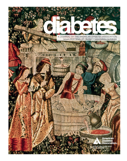 Diabetes Cover Image for Volume 63, Issue 1