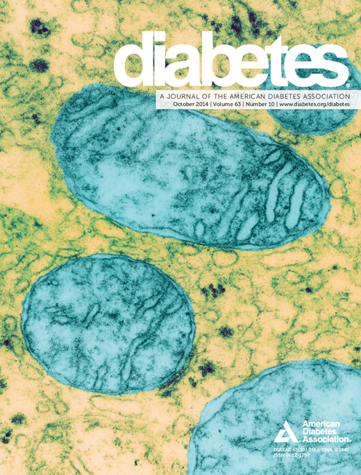 Diabetes Cover Image for Volume 63, Issue 10