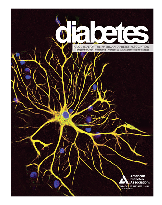 Diabetes Cover Image for Volume 63, Issue 12