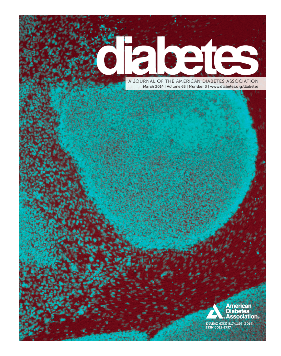 Issue cover image