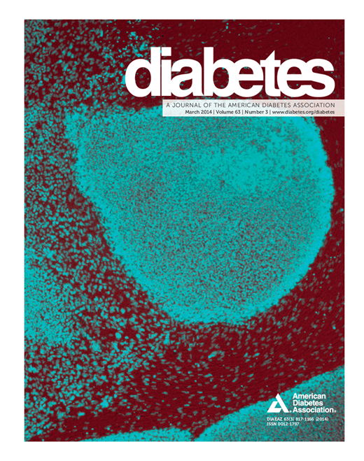 Diabetes Cover Image for Volume 63, Issue 3