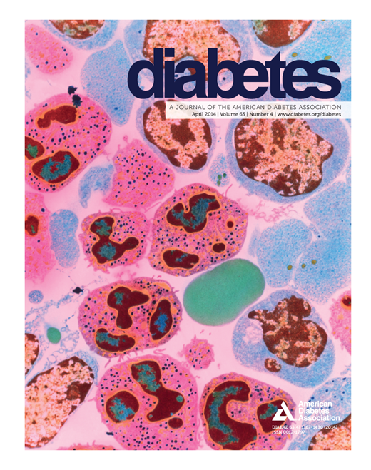Diabetes Cover Image for Volume 63, Issue 4