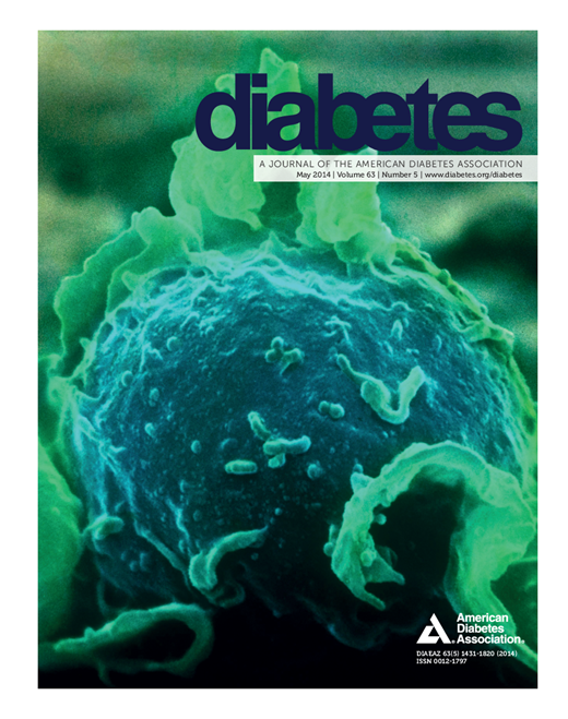 Diabetes Cover Image for Volume 63, Issue 5