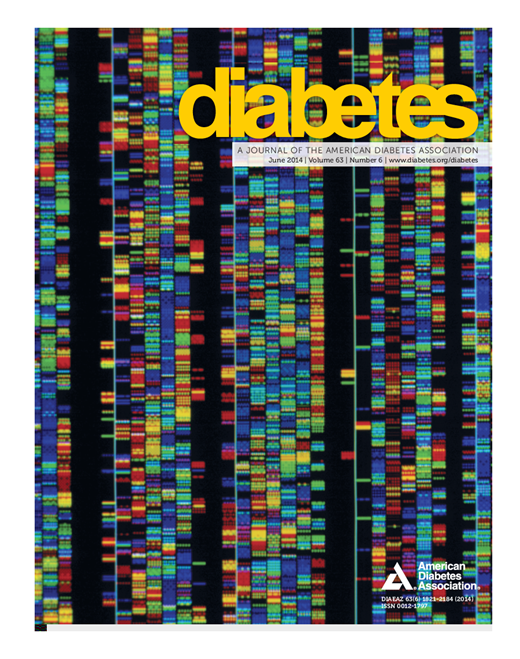 Diabetes Cover Image for Volume 63, Issue 6
