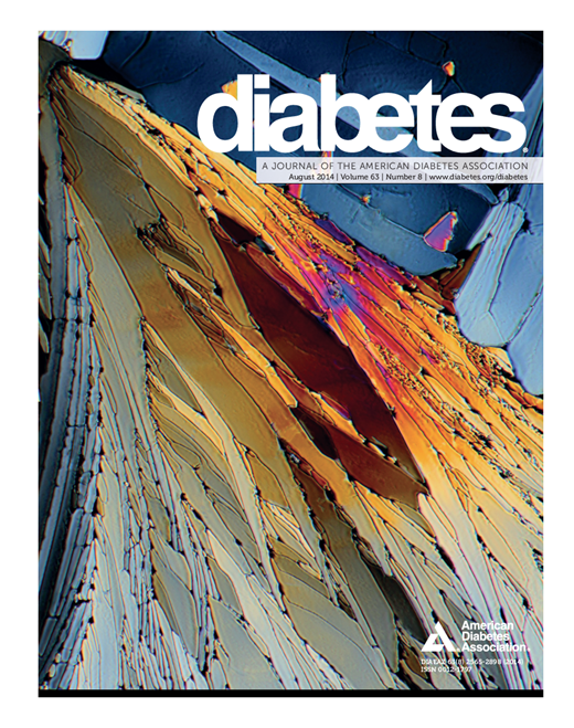 Diabetes Cover Image for Volume 63, Issue 8
