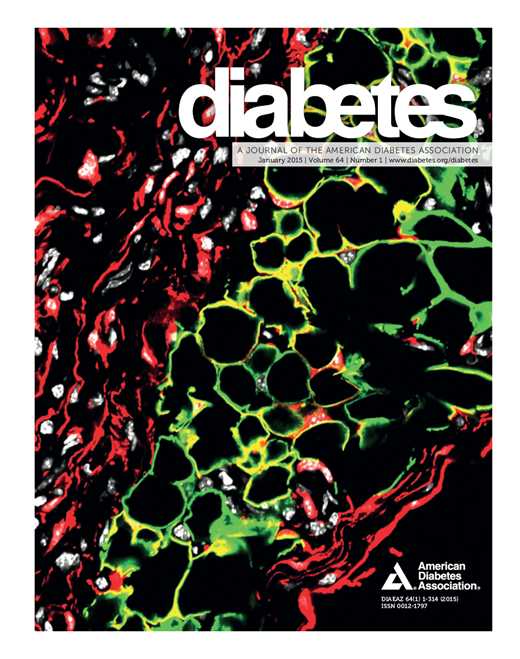 Diabetes Cover Image for Volume 64, Issue 1