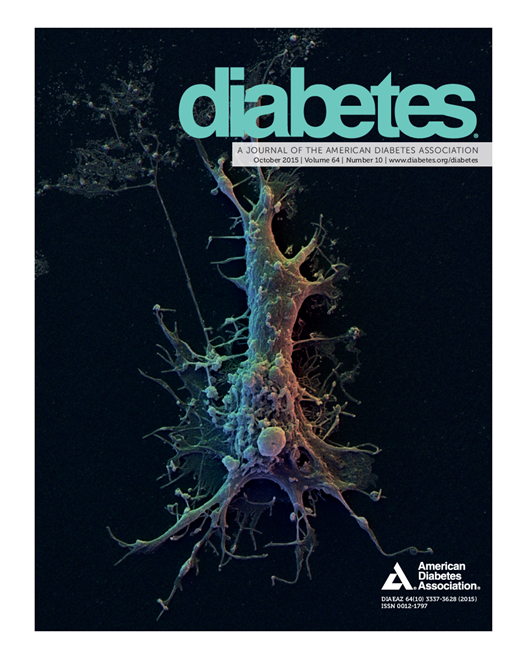 Diabetes Cover Image for Volume 64, Issue 10
