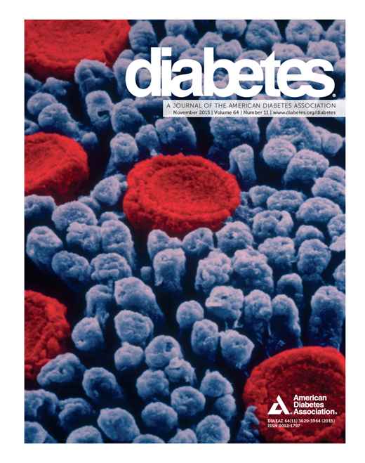 Diabetes Cover Image for Volume 64, Issue 11