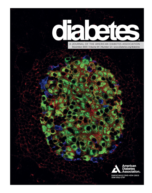 Diabetes Cover Image for Volume 64, Issue 12