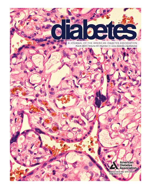 Diabetes Cover Image for Volume 64, Issue 3