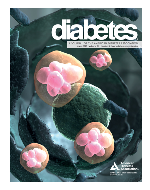 Diabetes Cover Image for Volume 64, Issue 6