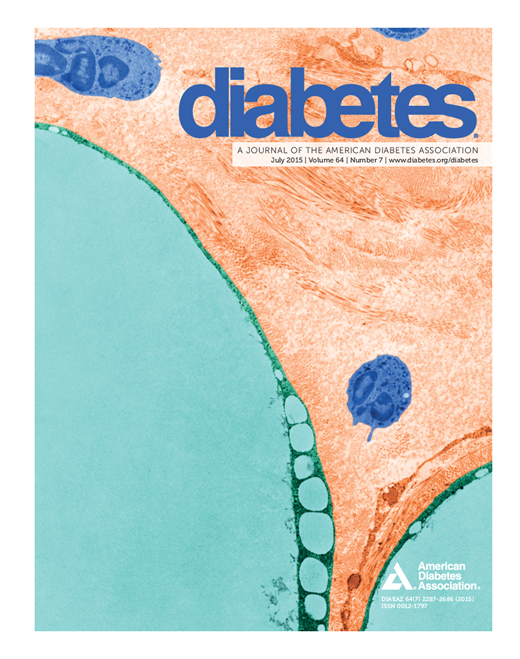 Diabetes Cover Image for Volume 64, Issue 7