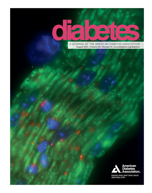 Diabetes Cover Image for Volume 64, Issue 8