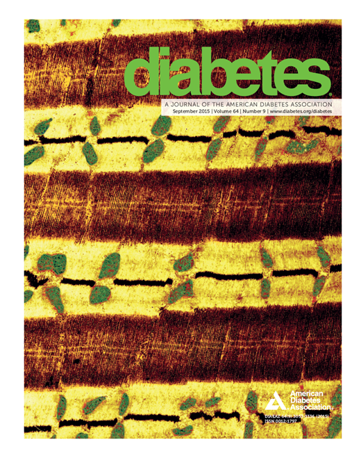 Diabetes Cover Image for Volume 64, Issue 9