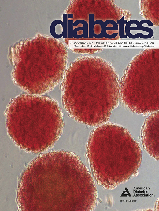 Diabetes Cover Image for Volume 65, Issue 11
