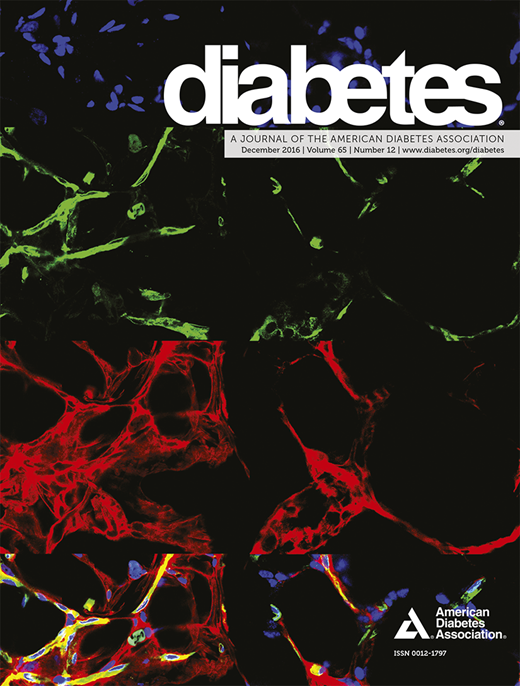 Diabetes Cover Image for Volume 65, Issue 12