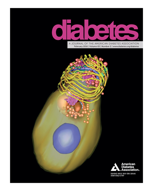 Diabetes Cover Image for Volume 65, Issue 2