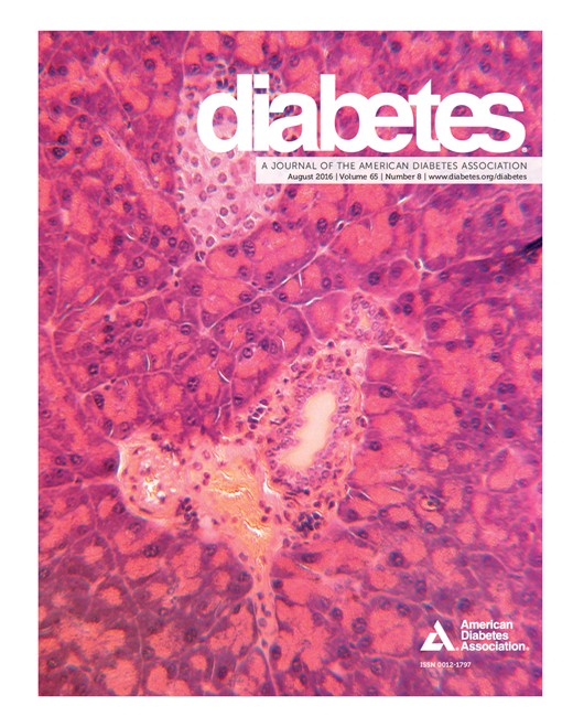 Diabetes Cover Image for Volume 65, Issue 8