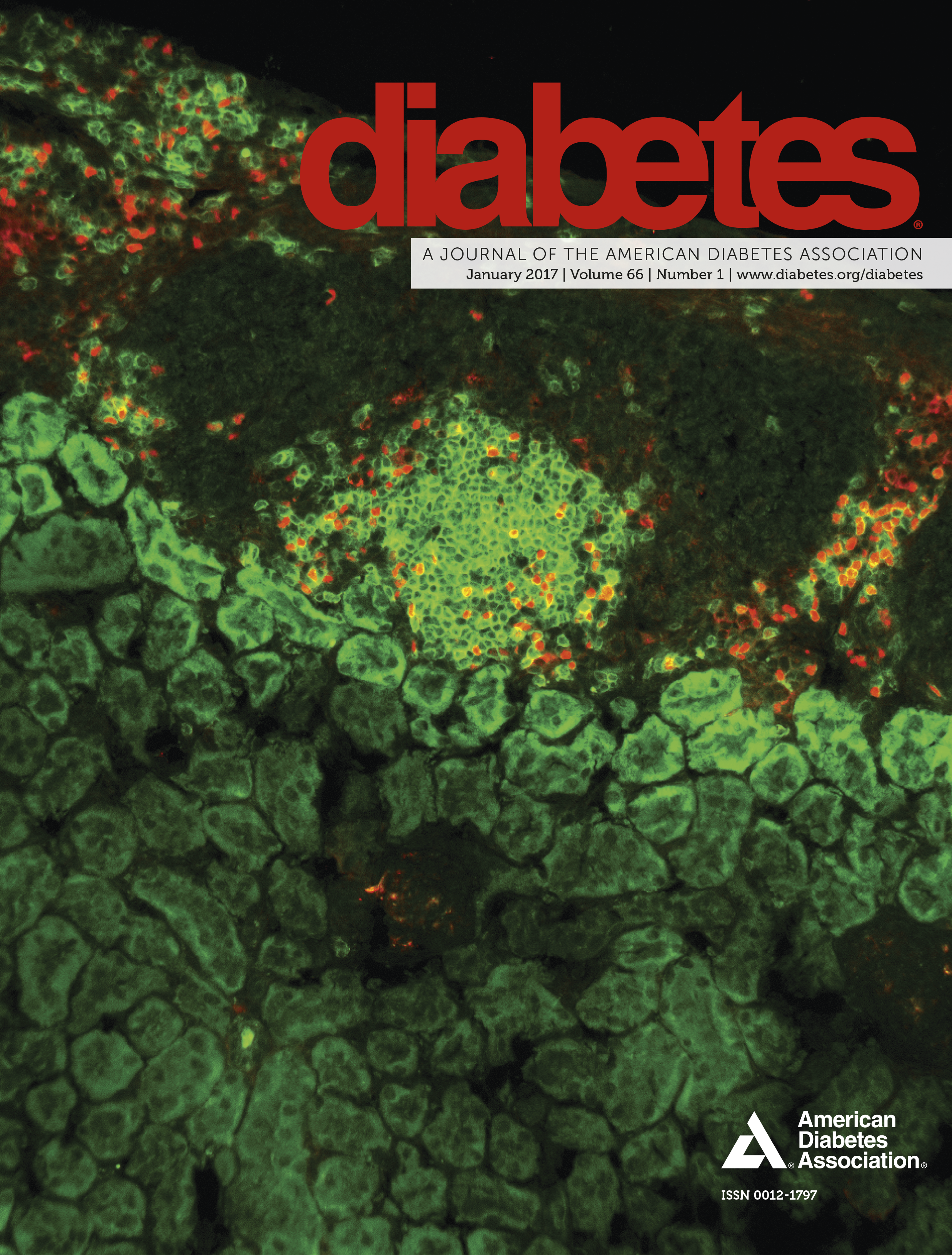 Issue cover image