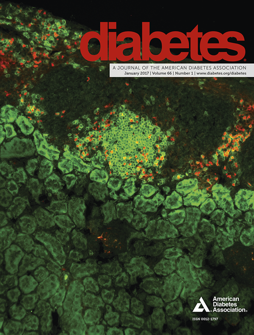 Diabetes Cover Image for Volume 66, Issue 1