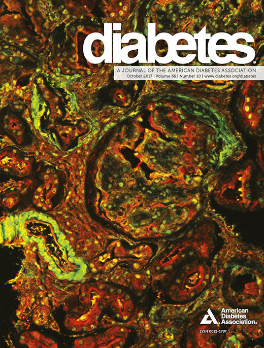 Diabetes Cover Image for Volume 66, Issue 10