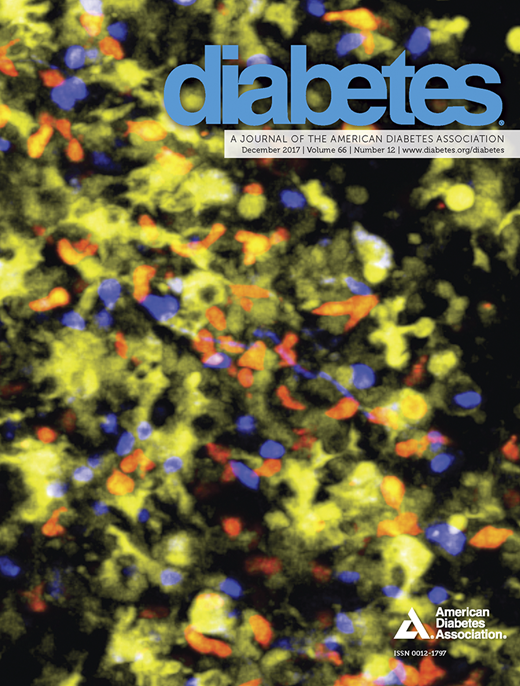 Diabetes Cover Image for Volume 66, Issue 12