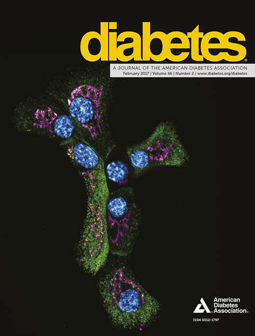 Diabetes Cover Image for Volume 66, Issue 2
