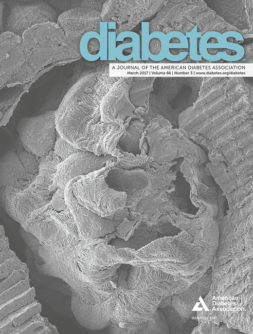 Diabetes Cover Image for Volume 66, Issue 3