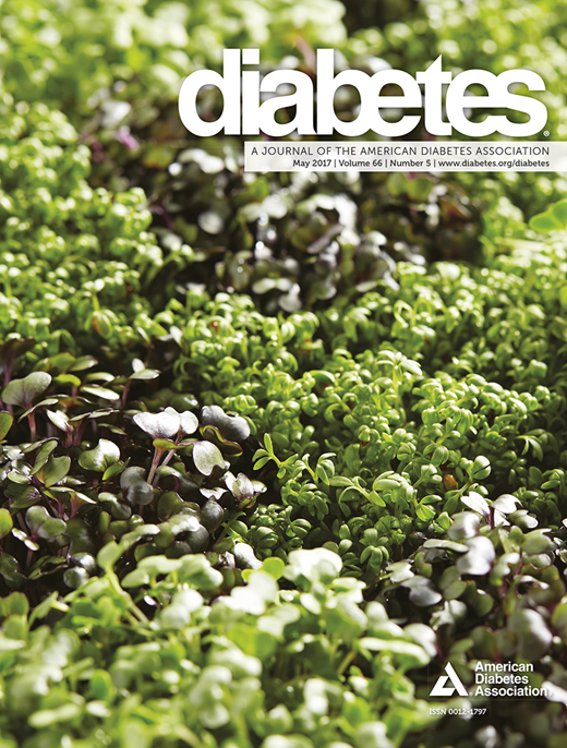Diabetes Cover Image for Volume 66, Issue 5