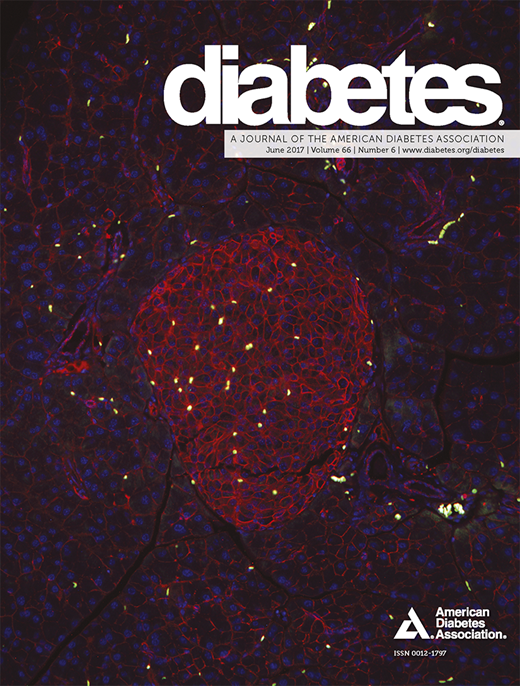Diabetes Cover Image for Volume 66, Issue 6