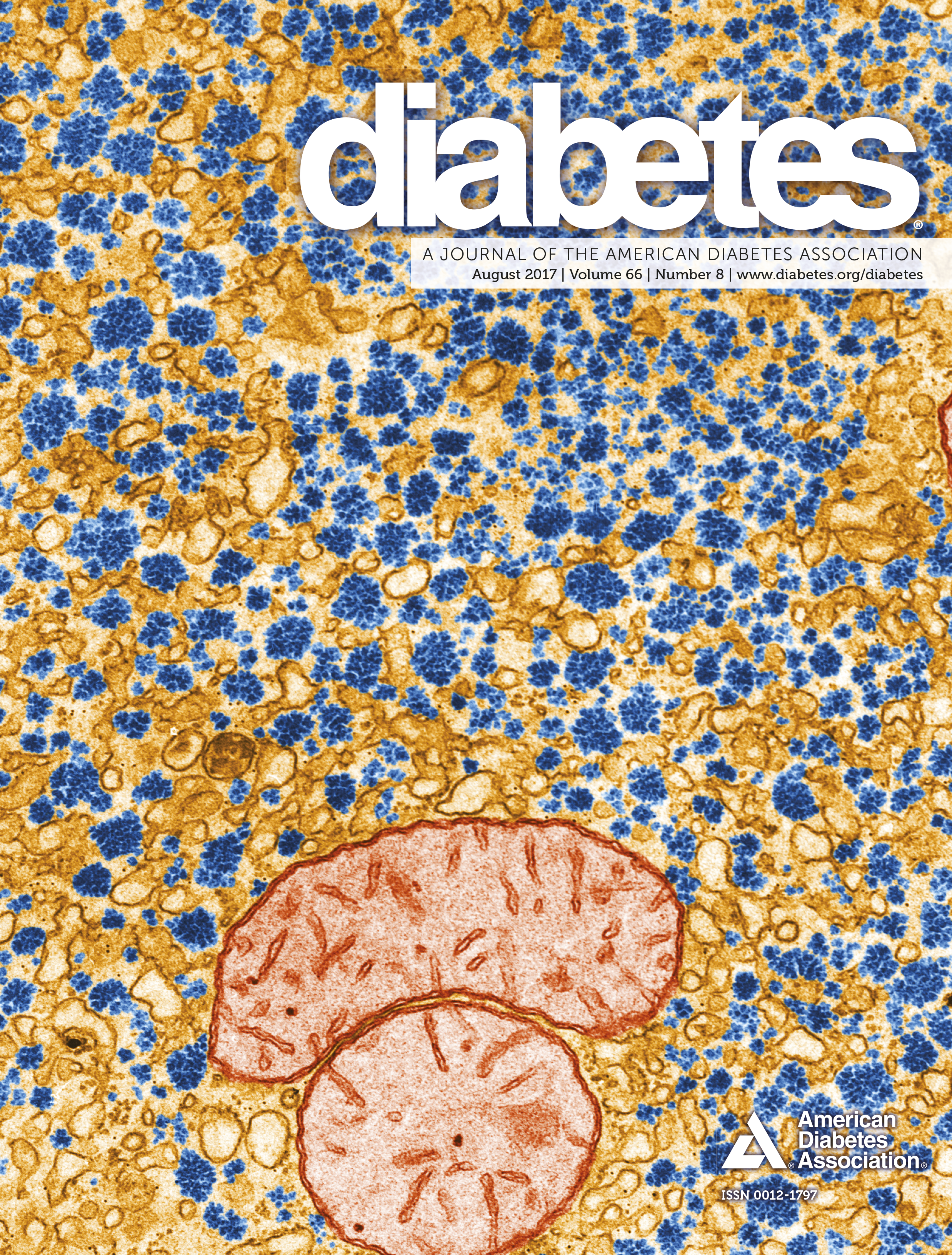Issue cover image