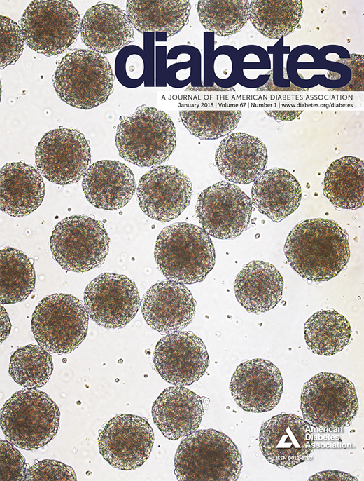 Diabetes Cover Image for Volume 67, Issue 1